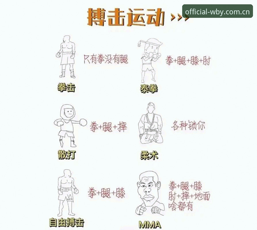 万搏体育专业体育使用指南 万搏体育平台最新动态:新手必读的专业体育使用指南全解析