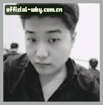 陈磊
